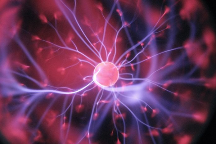 How the brain knows when to take out the trash