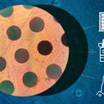 Scientists develop new lightweight material stronger than steel
