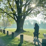 Living near a green area could strongly cut your stroke risk