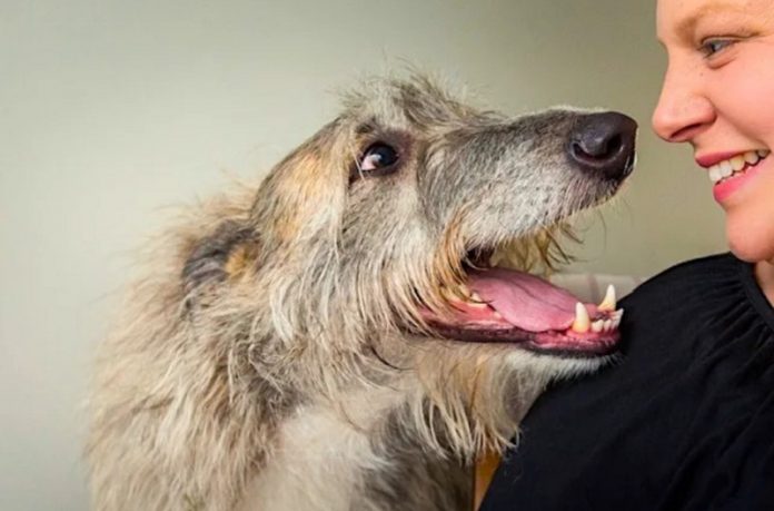 Science can help dogs enjoy their best life