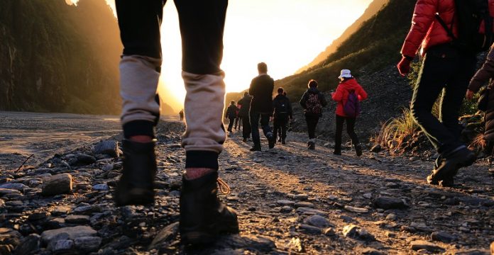 Scientists find optimal daily walking steps for longevity