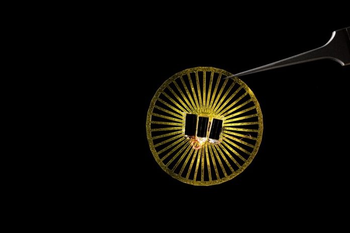 This battery-free wireless device could float in the wind like dandelion seeds
