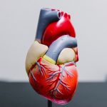 Common causes of heart failure people should know