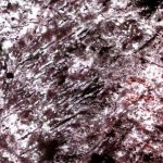 Life on Earth started much earlier than previously thought