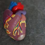 New guidelines for people with early signs of heart failure