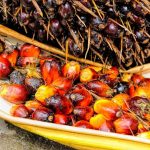 Palm oil promotes spread of some cancers