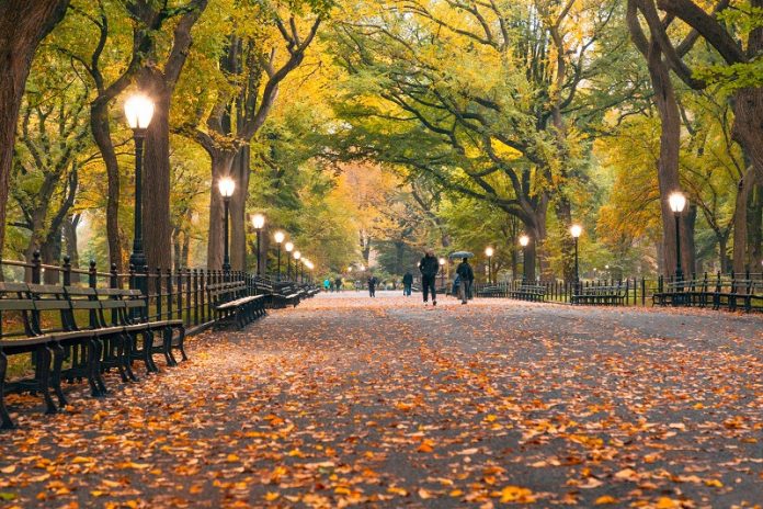 Researchers pick up the 25 happiest city park systems in the US