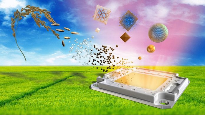 Scientists make world's first LED lights from rice husks