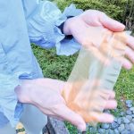 This recyclable pollen paper can print on and “unprint”