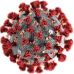 Yale scientists find an important cause of severe COVID-19