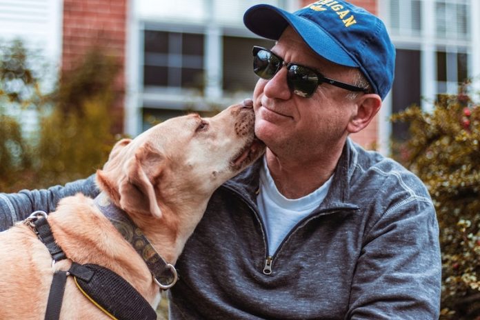 Cognitive test in dogs could help humans with Alzheimer's disease