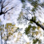 Dizziness can be a drag: how to cope with balance disorders