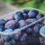 Eating prunes may help prevent bone loss in older women