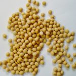 Soy is the best protein source for your kidney health