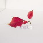 This blood sugar drug also can reduce blood vessel aging