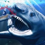What caused this prehistoric shark’s massive toothache