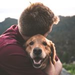 Dog is your heart’s best friend