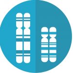 One in 500 men carry extra sex chromosome, having higher risk of diabetes, heart disease