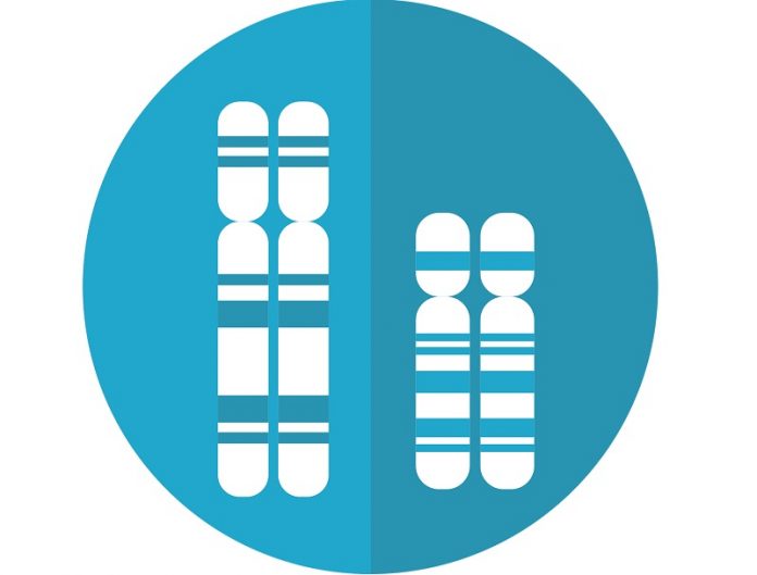 One in 500 men carry extra sex chromosome, having higher risk of diabetes, heart disease