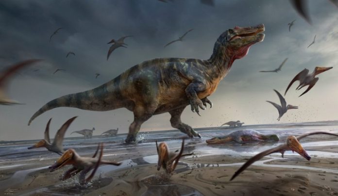 Scientists discover Europe’s largest land predator on the Isle of Wight