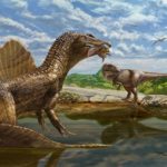 Scientists discover bizarre meat-eating dinosaur in Egypt’s Sahara Desert.