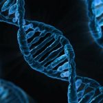 Scientists find more than 1,000 genes linked to severe COVID-19