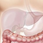 Common causes of liver inflammation (hepatitis) you need to know