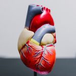 Fat buildup in liver may increase risk of heart failure