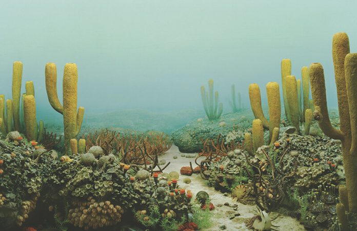 How life bounced back after 90% of species died off in history’s largest mass extinction