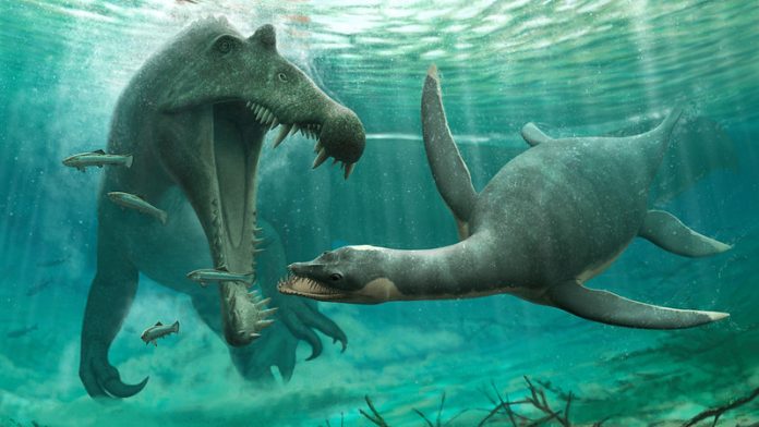 Plesiosaurs weren’t just marine animals, show fossils in Sahara Desert