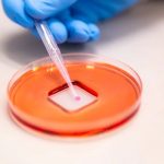 Scientists create new COVID shield to protect surfaces from viruses, bacteria