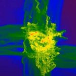 Scientists find how first quasars in universe formed