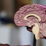 Scientists find how to predict who develops Lewy body dementia