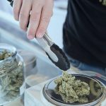 Scientists find too much mislabeling of CBD content in over-the-counter products