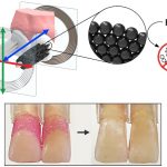 These shapeshifting microrobots can brush and floss teeth