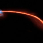 The ultimate fate of a star shredded by a black hole