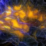 Day or night — your brain is always listening