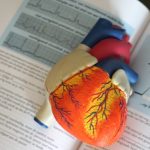 One artery number can predict higher risks of heart attack, stroke