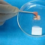 Scientists develop a green light treatment for whiter teeth, fewer cavities