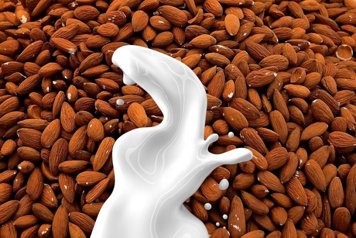 Why plant-based milks are rising to the top