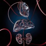 Yale scientists find way to restore cell, organ function in pigs after death