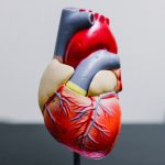 Dementia risk may be higher if an upper heart chamber is abnormal