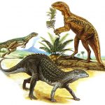 How did ‘bird-hipped’ dinosaurs evolve?