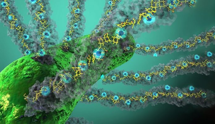 Light accelerates conductivity in nature’s ‘electric grid’