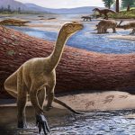 Scientists find Africa’s oldest known dinosaur