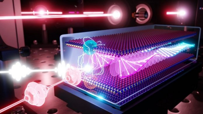 Scientists see spins in a 2D magnet