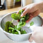 One serving of leafy greens a day may slow brain aging by 11 years