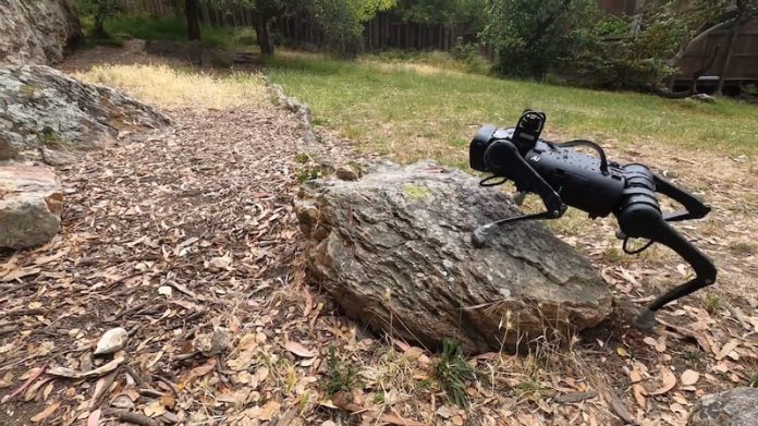 This little robot can go almost anywhere