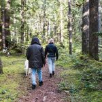 A walk in the woods may reduce anxiety and depression