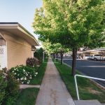 Living in greener areas may boost mental health, reduce medication use